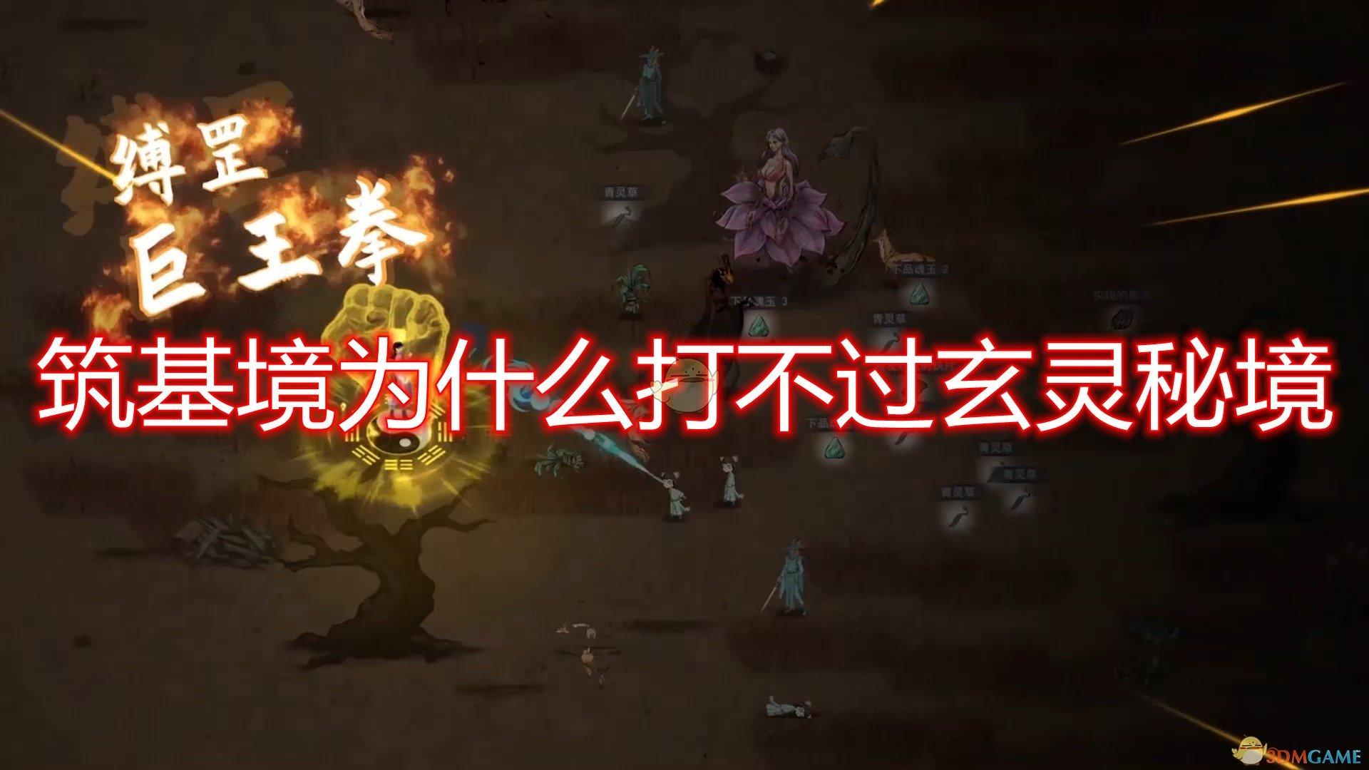 吃水果的蛇