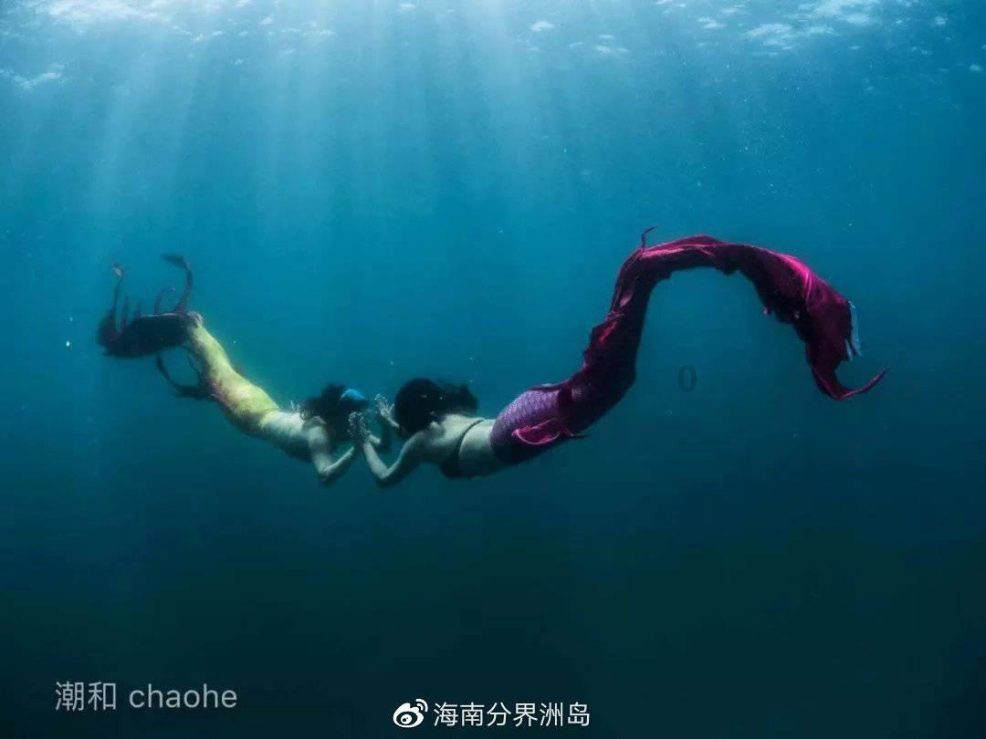 智慧“交易员”